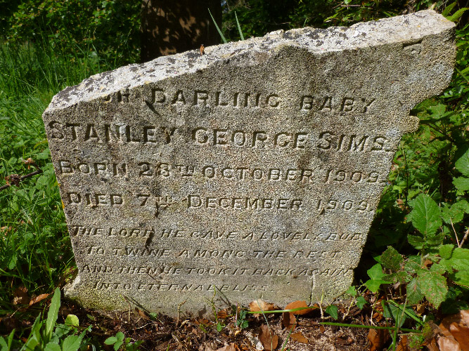Stanley George Sims