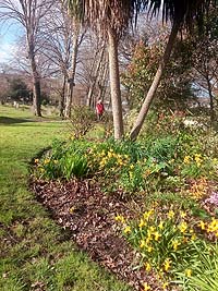 garden view